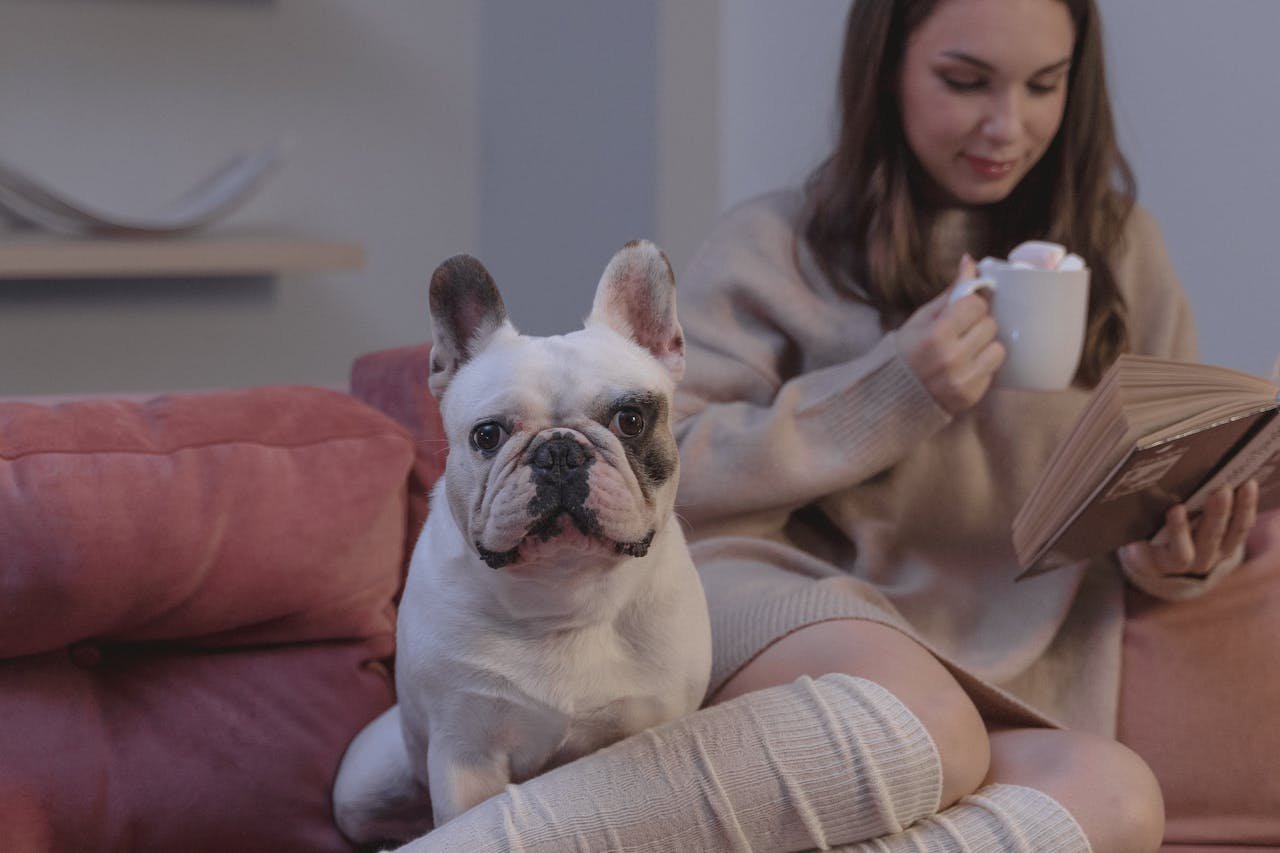 Woman reading with a ceramic mug and French bulldog on a cozy couch.